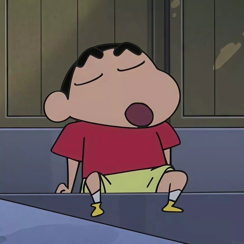 ảnh shin 7