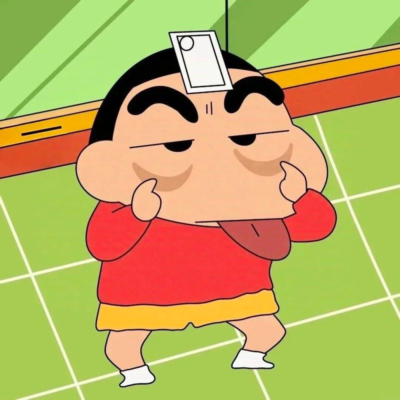 ảnh shin 8