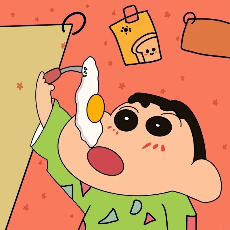 ảnh shin 9