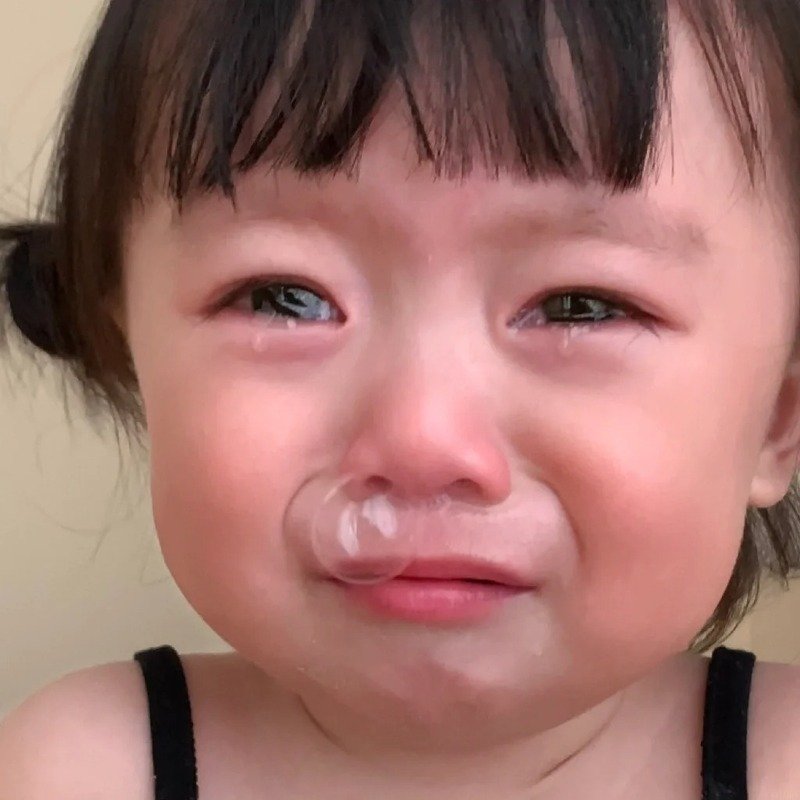 ảnh vô tri hài 11