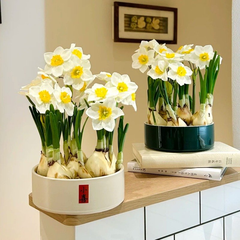 Cập nhật 136+ hình ảnh hoa đẹp rực rỡ khiến ai cũng mê đắm 23 hình ảnh hoa đẹp 8