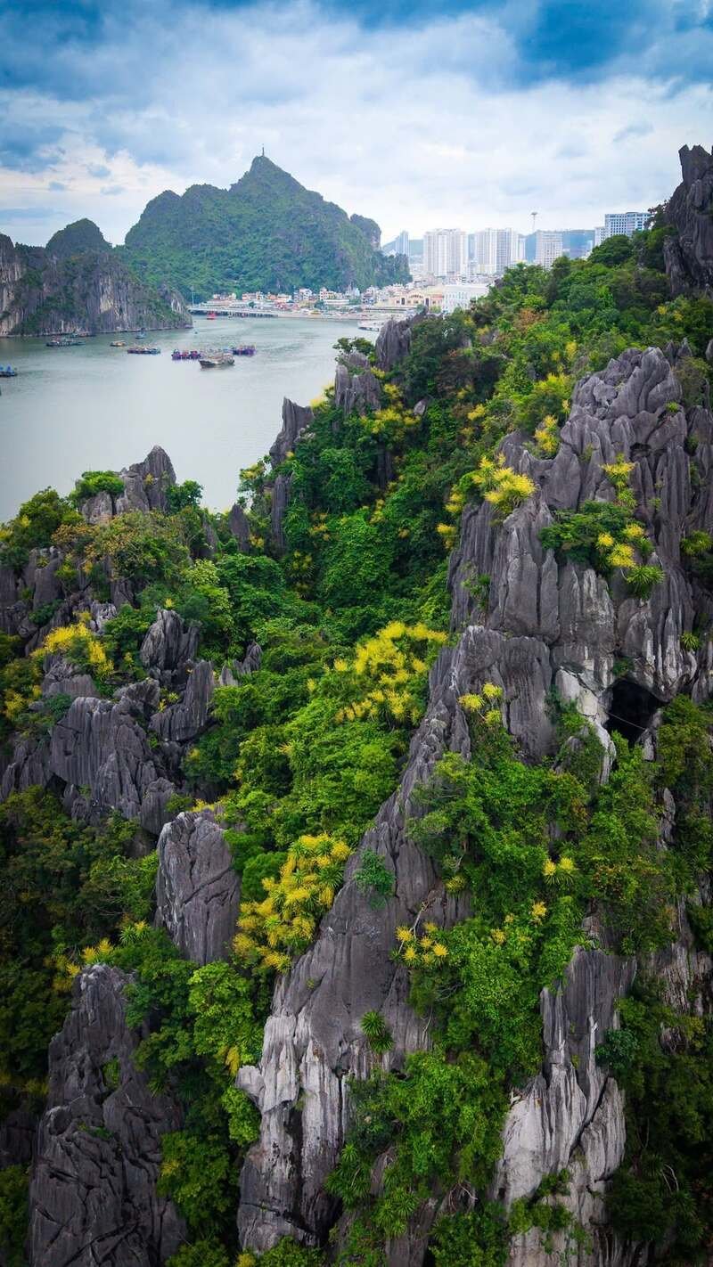 hình ảnh vịnh hạ long 13