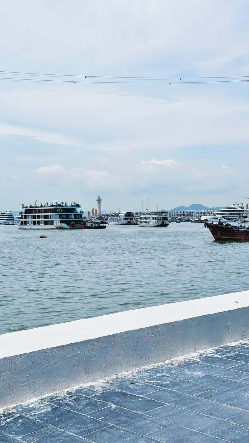 hình ảnh vịnh hạ long 16