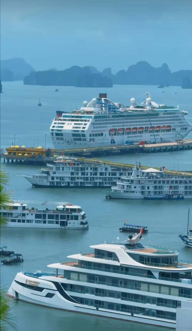 hình ảnh vịnh hạ long 24