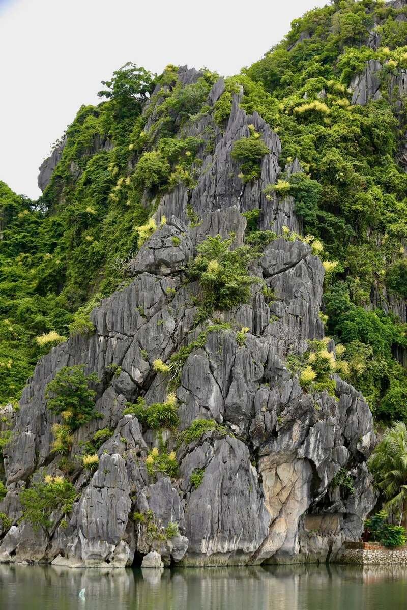 hình ảnh vịnh hạ long 28
