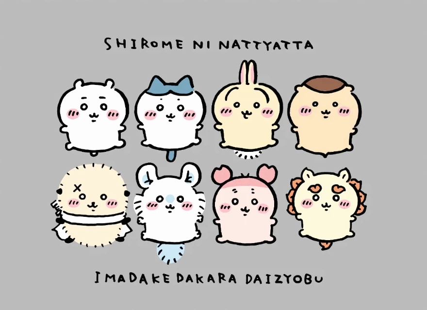 Khám Phá Thế Giới Chiikawa Characters Đầy Màu Sắc